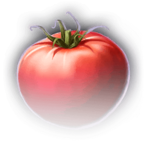 FOOD Tomato Faded.png