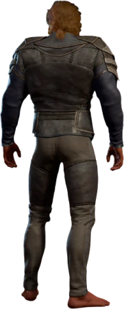 Shadeclinger Armour High Elf Back