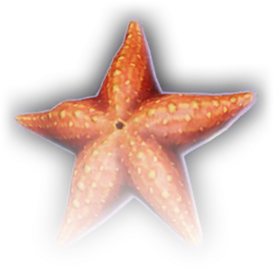 Starfish image