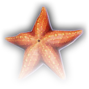 Starfish image