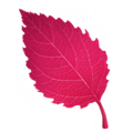 Thumbnail for version as of 20:35, 8 April 2025