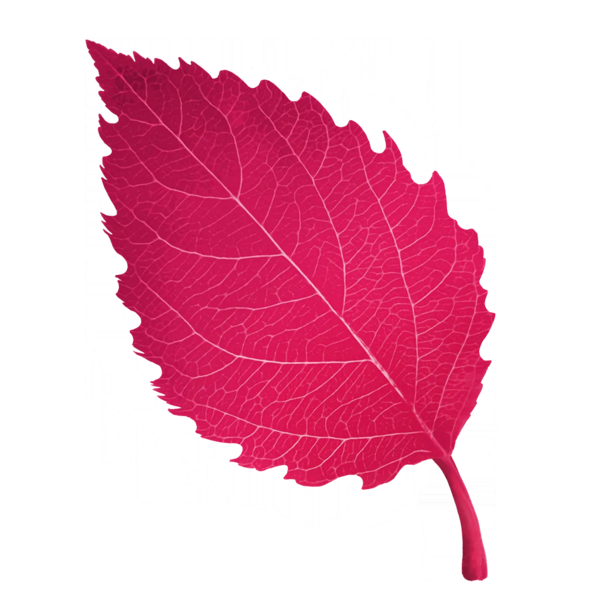 File:Sticker Env Leaf 4.webp