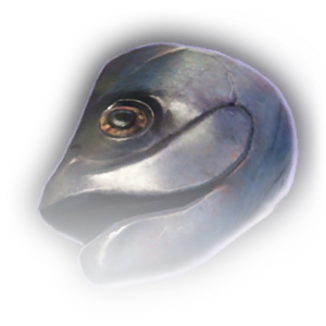 Fish Head image