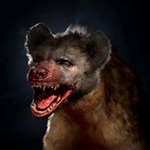 Portrait Hyena (bloody).png