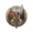 Wildheart Subclass Icon.png