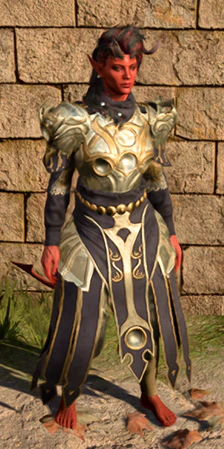 Dark Justiciar Mail worn by Karlach