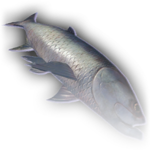 Fish (Big) image