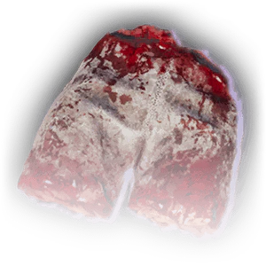 Severed Pelvis image