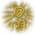 Radiance Of The Dawn Icon.png