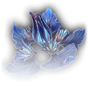 Portrait Lenore De Hurst.png