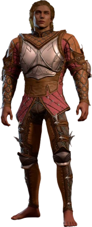 Luminous Armour High Elf Front