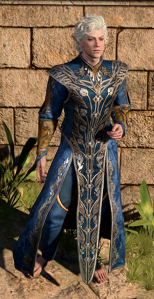Potent Robe in game male.PNG