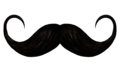Thumbnail for version as of 20:36, 8 April 2025