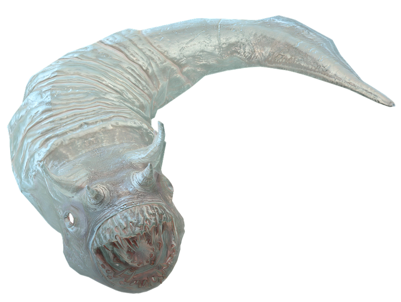 File:Astral-Touched Tadpole Model.png