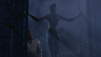 Lae'zel stands at the altar room threshold, in her camp garb, inviting the player character to night of pleasure without commitment.