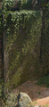 Thumbnail for version as of 09:48, 1 October 2025