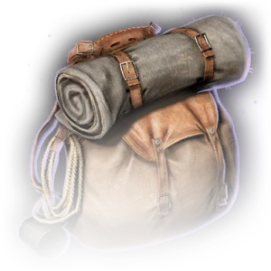 Pickpocket's Bag image