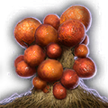 Thumbnail for version as of 09:42, 26 September 2026