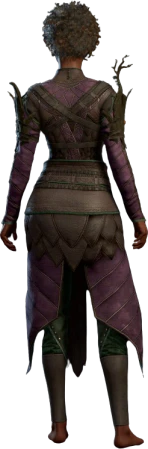 Druid Leather Armour Purple Human Back