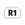 R1