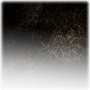 Web (surface) image