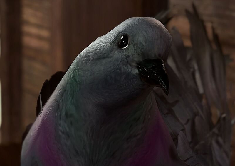 File:Pigeon commander lightfeather.jpg