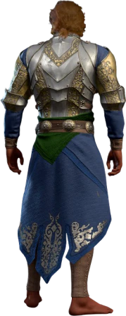 Plate Armour High Elf Back