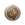 Class_Sorcerer_Wild_Magic_Badge_Icon.png