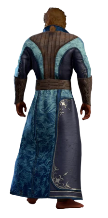 Icebite Robe Half-Elf Back
