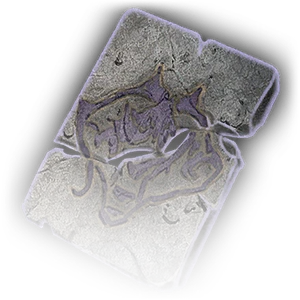 Rune of the Wolf image