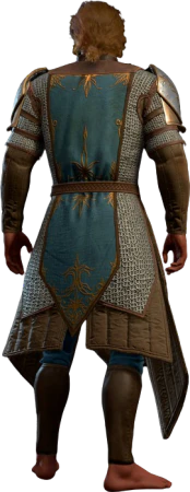 Chain Mail +1 High Elf Back