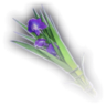 Balsam Icon.png