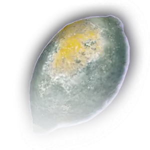 Rotten Lemon image