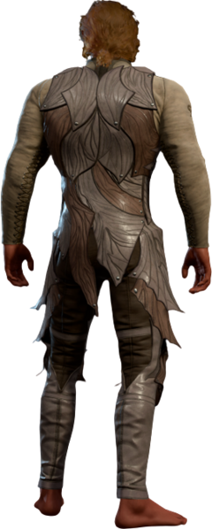 File:Faded Drow Leather Armour High Elf Back Model.webp