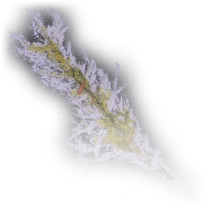 Mugwort image