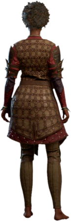 Ring Mail Armour +1 Human Back