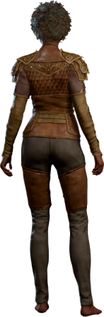 Leather Armour +2 Human Back