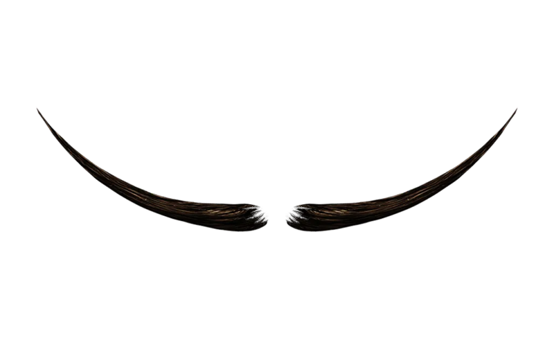 File:Sticker Cosmetic Moustache C.webp