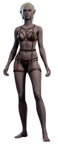 Female Incubus Underwear