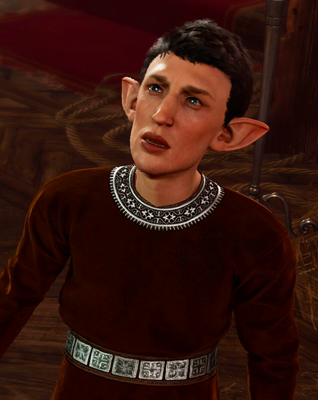 Verryn - bg3.wiki