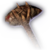 Crude Mace Faded.png