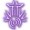 Divine Strike: Thunder (Melee)