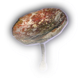 Rotten Mushroom image