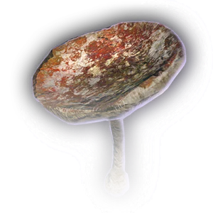 Rotten Mushroom image