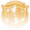 Protection from Energy Thunder Icon.png