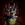 Poison Hallucination (creature)