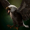 Portrait Giant Eagle.png