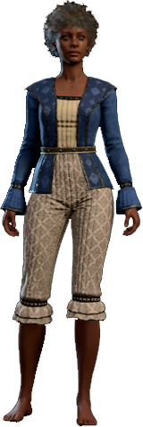 Splendid Blue Outfit Human Front
