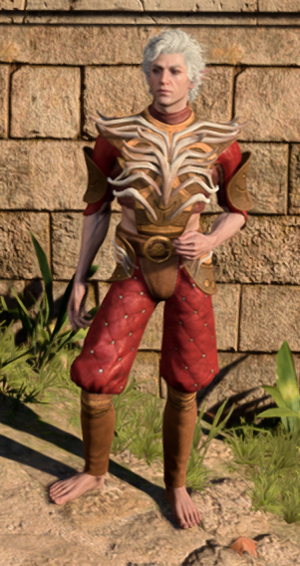 The Mighty Cloth in game male.PNG