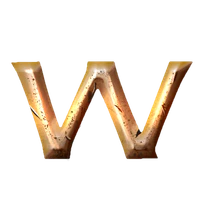 An image of the bg3.wiki logo.